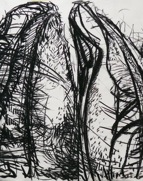 Ausstellungen Kokon